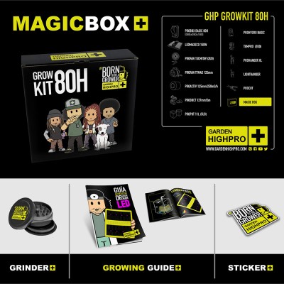 Kit Complet GHP '80x80x180cm & 150W'