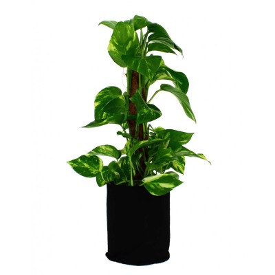 Pot Textile1.5L "x20"