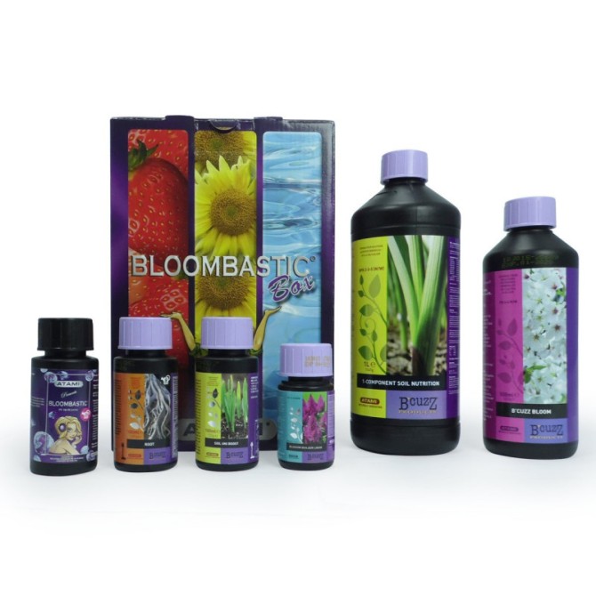 Pack Bloombastic Terre
