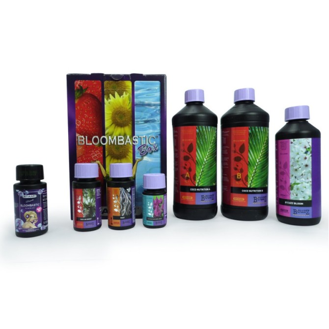 Pack Bloombastic Coco